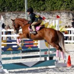 Inwood Hunter Jumper Show Horses Bermuda Equestrian, November 25 2012 (21)