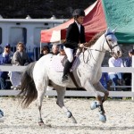 Inwood Hunter Jumper Show Horses Bermuda Equestrian, November 25 2012 (26)