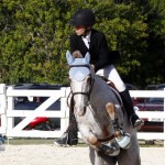Inwood Hunter Jumper Show Horses Bermuda Equestrian, November 25 2012 (31)
