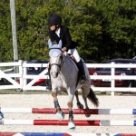 Inwood Hunter Jumper Show Horses Bermuda Equestrian, November 25 2012 (32)