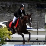 Inwood Hunter Jumper Show Horses Bermuda Equestrian, November 25 2012 (36)