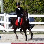 Inwood Hunter Jumper Show Horses Bermuda Equestrian, November 25 2012 (40)
