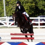 Inwood Hunter Jumper Show Horses Bermuda Equestrian, November 25 2012 (42)