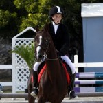 Inwood Hunter Jumper Show Horses Bermuda Equestrian, November 25 2012 (44)