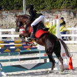 Inwood Hunter Jumper Show Horses Bermuda Equestrian, November 25 2012 (45)