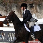 Inwood Hunter Jumper Show Horses Bermuda Equestrian, November 25 2012 (48)