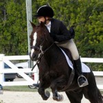Inwood Hunter Jumper Show Horses Bermuda Equestrian, November 25 2012 (50)
