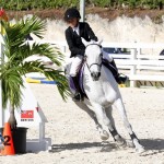 Inwood Hunter Jumper Show Horses Bermuda Equestrian, November 25 2012 (8)