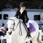 Inwood Hunter Jumper Show Horses Bermuda Equestrian, November 25 2012 (9)