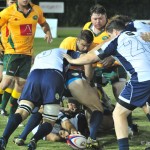 australia v italy rugby (18)