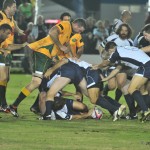 australia v italy rugby (19)