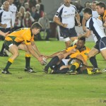 australia v italy rugby (25)