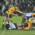 australia v italy rugby (29)