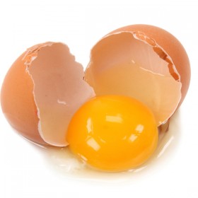 broken egg generic