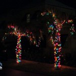 2012 xmas lights (108)