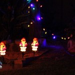 2012 xmas lights (110)
