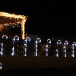 2012 xmas lights (118)