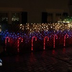 2012 xmas lights (122)