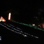2012 xmas lights (145)