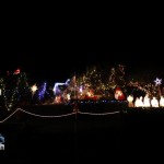 2012 xmas lights (44)