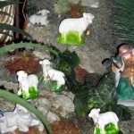 Almeida Family Portuguese Presepio Nativity Scene Christmas Bermuda, December 23 2012 (15)
