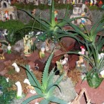 Almeida Family Portuguese Presepio Nativity Scene Christmas Bermuda, December 23 2012 (7)