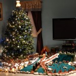 Resendes Family Portuguese Presepio Nativity Scene Christmas Bermuda, December 23 2012 (1)
