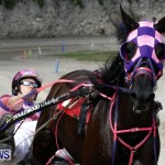 DHPC Harness Pony Racing, Bermuda January 13 2013 (1)