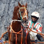 DHPC Harness Pony Racing, Bermuda January 13 2013 (10)