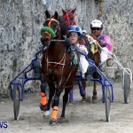 DHPC Harness Pony Racing, Bermuda January 13 2013 (11)