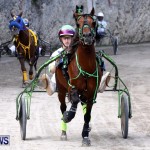 DHPC Harness Pony Racing, Bermuda January 13 2013 (15)