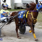 DHPC Harness Pony Racing, Bermuda January 13 2013 (17)