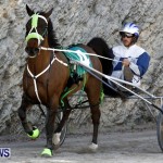 DHPC Harness Pony Racing, Bermuda January 13 2013 (18)