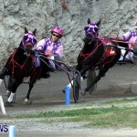 DHPC Harness Pony Racing, Bermuda January 13 2013 (19)