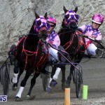 DHPC Harness Pony Racing, Bermuda January 13 2013 (20)
