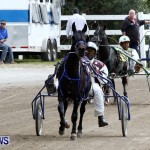 DHPC Harness Pony Racing, Bermuda January 13 2013 (24)