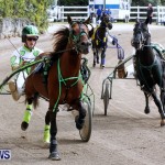 DHPC Harness Pony Racing, Bermuda January 13 2013 (25)