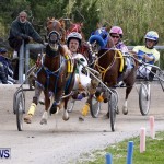 DHPC Harness Pony Racing, Bermuda January 13 2013 (26)
