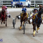 DHPC Harness Pony Racing, Bermuda January 13 2013 (27)