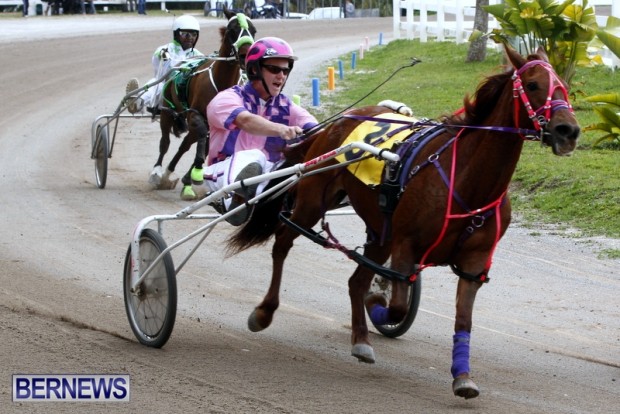 DHPC Harness Pony Racing, Bermuda January 13 2013 (28)