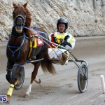 DHPC Harness Pony Racing, Bermuda January 13 2013 (29)