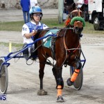 DHPC Harness Pony Racing, Bermuda January 13 2013 (3)