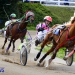 DHPC Harness Pony Racing, Bermuda January 13 2013 (31)
