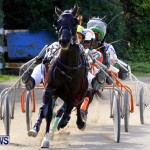 DHPC Harness Pony Racing, Bermuda January 13 2013 (32)