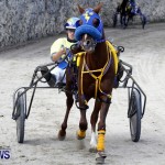 DHPC Harness Pony Racing, Bermuda January 13 2013 (4)