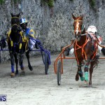 DHPC Harness Pony Racing, Bermuda January 13 2013 (5)