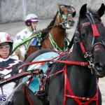 DHPC Harness Pony Racing, Bermuda January 13 2013 (9)