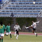 Devonshire Cougars vs Dandy Town Hornets  Friendship Final Football Bermuda, January 1 2013 (16)
