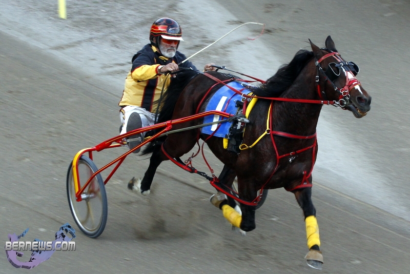 Driving Horse & Pony Club DHPC Harness Pony Racing, January 1 2013 (17)