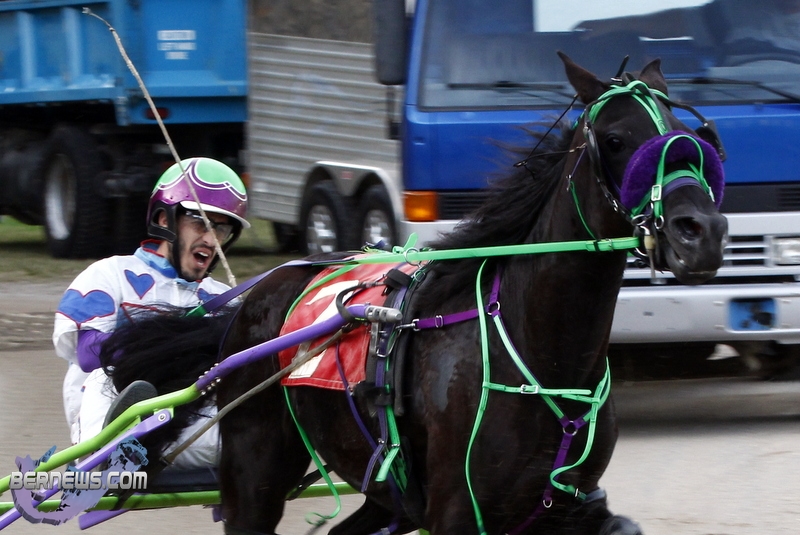 Driving Horse & Pony Club DHPC Harness Pony Racing, January 1 2013 (3)